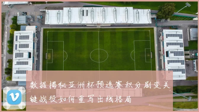 数据揭秘亚洲杯预选赛积分剧变关键战役如何重写出线格局