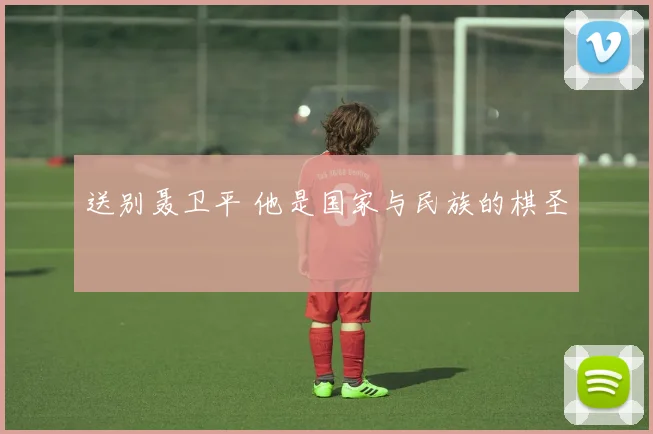 送别聂卫平 他是国家与民族的棋圣