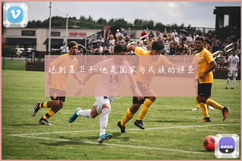 送别聂卫平 他是国家与民族的棋圣